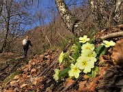 Castel Regina e Pizzo Cerro da Catremerio-13apr22- FOTOGALLERY